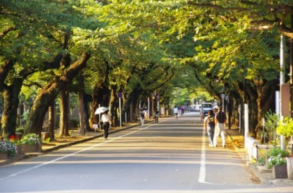 道路